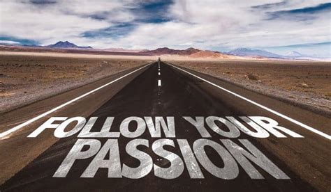  「Job Hunting: Find Your Passion and Live It」: 自分を解放し、情熱を燃やすためのキャリア道案内！